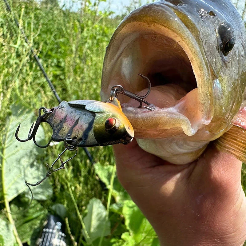 Westin Ricky The Roach Tungsten Vibration Lures